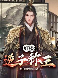 红楼:开局获得天罡诀