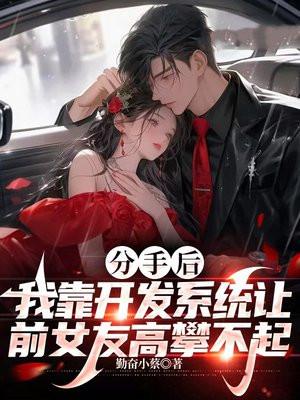 分手后,我靠开发系统让前女友高攀不起