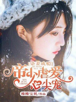 染妻成瘾:帝少虐爱心尖宠