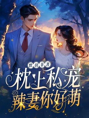 枕上私宠:辣妻,你好萌