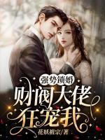 强势锁婚:财阀大佬狂宠我