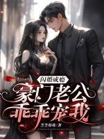 闪婚成瘾:豪门老公乖乖宠我