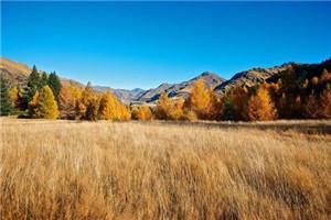 离婚后我创飞了所有人