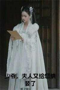 少爷,夫人又给您纳妾了大结局