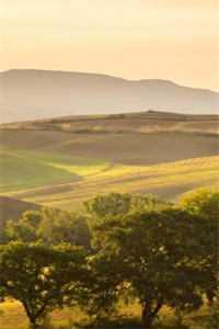 长篇小说黑狗白幡,天地难安,丧葬一条龙了解一下