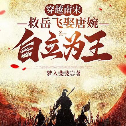 穿越南宋,救岳飞娶唐婉自立为王