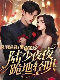 禁止离婚!陆少夜夜跪地轻哄