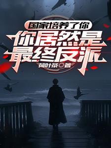 开局世界公敌,我潜伏在官方内部