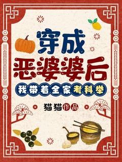 穿成恶婆婆后,我带着全家考科举