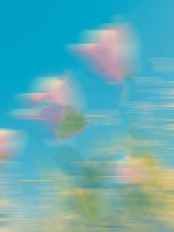 弟弟刚拿百万拆迁款，侄子炸翻八辆豪车