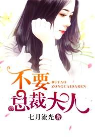 不要,总裁大人!