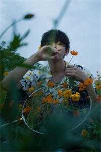 畅读全文娇娇呈欢