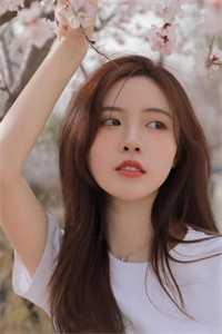 高质量小说都末世了,来修个仙呀