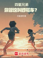 四驱兄弟:你管这叫四驱车?